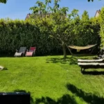 Rognage de souche en Île-de-France 12 Pose de gazon en rouleau prix