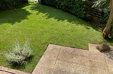 Devis gazon naturel en rouleau