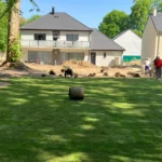 Rognage de souche en Île-de-France 13 Pose de gazon en rouleau prix