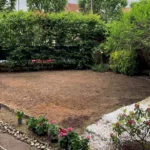 Rognage de souche en Île-de-France 10 Gazon en rouleau Naturel