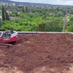 Rognage de souche en Île-de-France 8 Gazon en rouleau Naturel