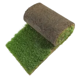 Rouleaux gazon naturel