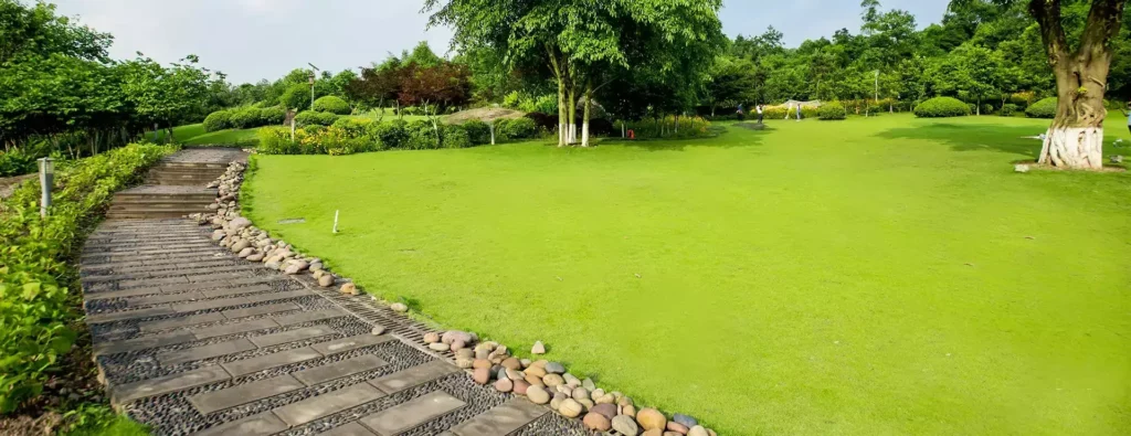 Gazon naturel en rouleau : pourquoi la préparation professionnelle du sol est cruciale 5 servivert gazon naturel en rouleau