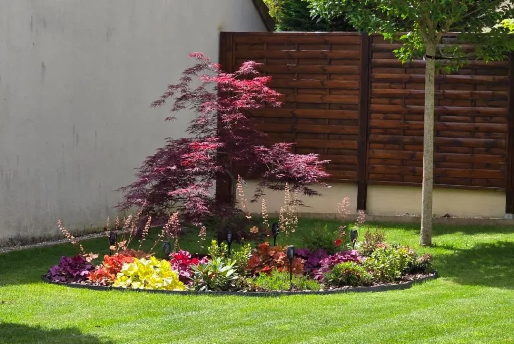 Gazon en rouleau Naturel