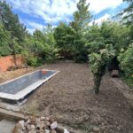 Rognage de souche en Île-de-France 9 Gazon en rouleau Naturel